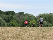 OTFL Gallery Image